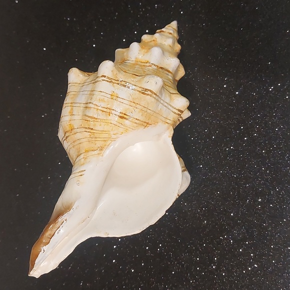 1) Freebie for Bundle Purchase! YOU Get to choose😄! OPEN Listing to 👀 S - Picture 13 of 15